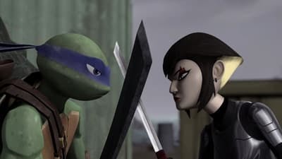 Assistir As Tartarugas Ninjas Temporada 1 Episódio 20 Online em HD