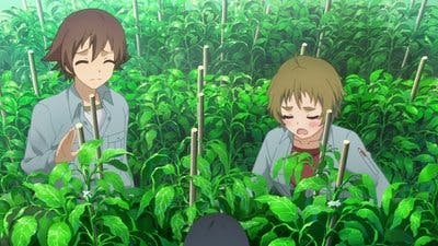 Assistir Nourin Temporada 1 Episódio 1 Online em HD