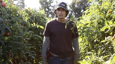 Assistir American Crime Temporada 3 Episódio 4 Online em HD