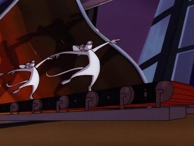 Assistir Pinky e o Cérebro Temporada 3 Episódio 19 Online em HD