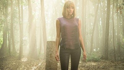 Assistir O Domo Temporada 3 Episódio 13 Online em HD