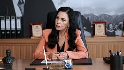 Assistir Coração Ferido Temporada 1 Episódio 13 Online em HD