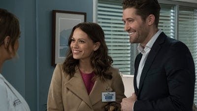 Assistir Grey’s Anatomy Temporada 14 Episódio 9 Online em HD