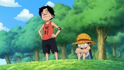 Assistir One Piece Temporada 13 Episódio 503 Online em HD