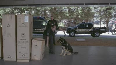 Assistir Airport Brazil: Restricted Areas Temporada 1 Episódio 9 Online em HD