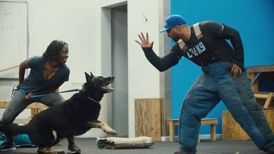 Assistir Intervenção Canina Temporada 1 Episódio 3 Online em HD