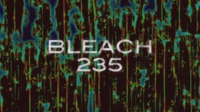 Assistir Bleach Temporada 1 Episódio 235 Online em HD