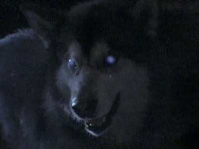 Assistir O Clube do Terror Temporada 6 Episódio 7 Online em HD