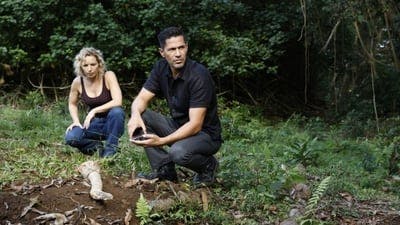 Assistir Magnum P.I. Temporada 5 Episódio 10 Online em HD