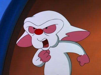 Assistir Pinky e o Cérebro Temporada 3 Episódio 8 Online em HD