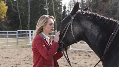 Assistir Heartland Temporada 6 Episódio 13 Online em HD