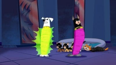 Assistir Krypto, o Supercão Temporada 2 Episódio 5 Online em HD