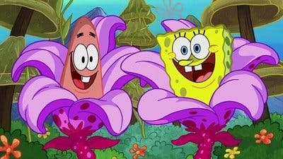 Assistir Bob Esponja Calça Quadrada Temporada 12 Episódio 35 Online em HD