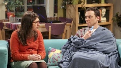 Assistir Big Bang: A Teoria Temporada 10 Episódio 20 Online em HD