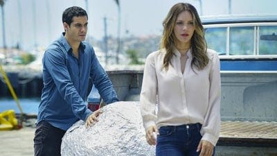 Assistir Scorpion: Serviço de Inteligência Temporada 3 Episódio 2 Online em HD