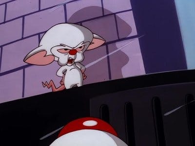 Assistir Pinky e o Cérebro Temporada 3 Episódio 49 Online em HD