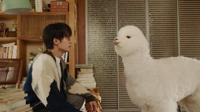 Assistir Filtro Temporada 1 Episódio 8 Online em HD