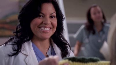 Assistir Grey’s Anatomy Temporada 4 Episódio 11 Online em HD