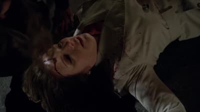Assistir Lei & Ordem: Unidade de Vítimas Especiais Temporada 12 Episódio 24 Online em HD