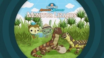 Assistir Octonautas: Missão Planeta Temporada 2 Episódio 15 Online em HD