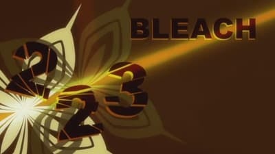 Assistir Bleach Temporada 1 Episódio 223 Online em HD