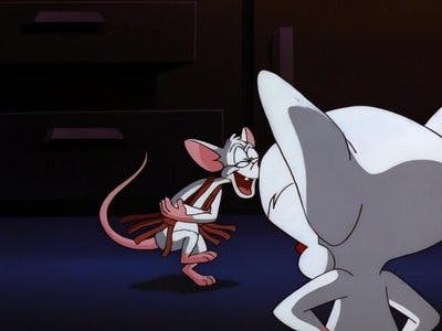 Assistir Pinky e o Cérebro Temporada 3 Episódio 26 Online em HD