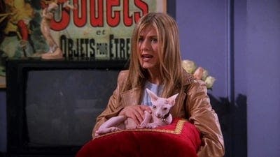 Assistir Friends Temporada 5 Episódio 21 Online em HD