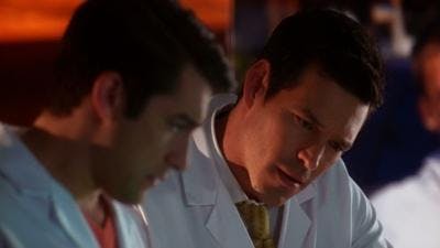 Assistir CSI: Miami Temporada 8 Episódio 19 Online em HD