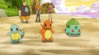 Assistir Pokémon Temporada 17 Episódio 42 Online em HD