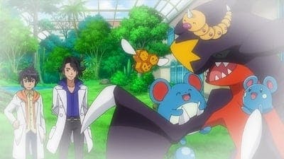 Assistir Pokémon Temporada 18 Episódio 20 Online em HD