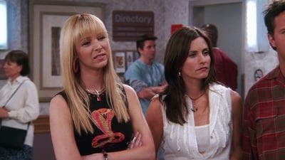 Assistir Friends Temporada 8 Episódio 23 Online em HD