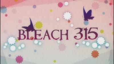 Assistir Bleach Temporada 1 Episódio 315 Online em HD