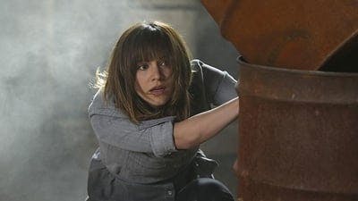 Assistir Scorpion: Serviço de Inteligência Temporada 1 Episódio 17 Online em HD