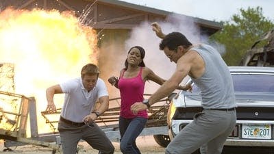 Assistir Burn Notice: Operação Miami Temporada 2 Episódio 5 Online em HD