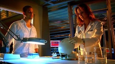 Assistir CSI: Miami Temporada 5 Episódio 18 Online em HD