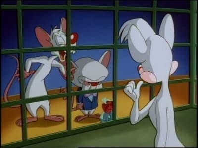 Assistir Animaniacs Temporada 1 Episódio 114 Online em HD