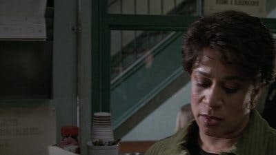 Assistir Lei & Ordem Temporada 8 Episódio 13 Online em HD