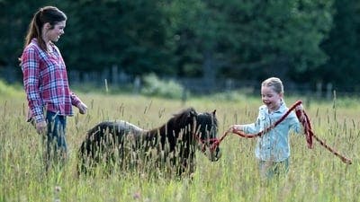 Assistir Heartland Temporada 10 Episódio 9 Online em HD