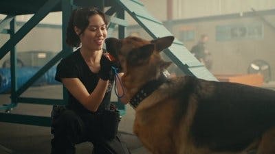 Assistir Hudson & Rex Temporada 7 Episódio 4 Online em HD