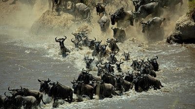 Assistir Bem-vindos à Terra Temporada 1 Episódio 3 Online em HD