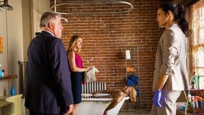 Assistir Rizzoli & Isles Temporada 5 Episódio 11 Online em HD