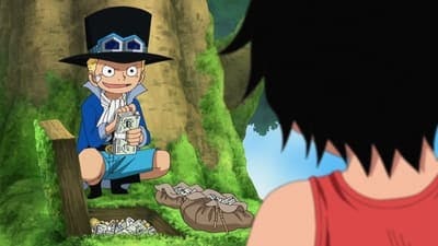 Assistir One Piece Temporada 13 Episódio 494 Online em HD