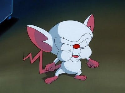 Assistir Pinky e o Cérebro Temporada 2 Episódio 6 Online em HD