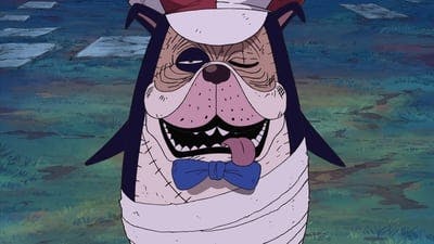 Assistir One Piece Temporada 10 Episódio 347 Online em HD