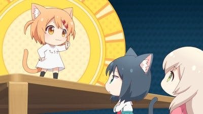 Assistir Nyanko Days Temporada 1 Episódio 7 Online em HD