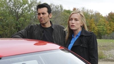 Assistir Covert Affairs: Assuntos Confidenciais Temporada 3 Episódio 14 Online em HD