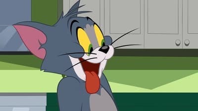 Assistir O Show de Tom e Jerry Temporada 4 Episódio 21 Online em HD