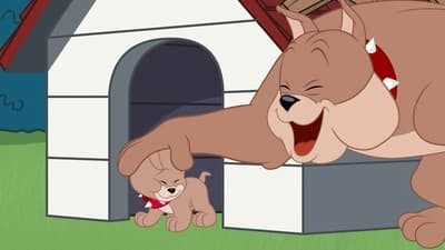 Assistir O Show de Tom e Jerry Temporada 2 Episódio 4 Online em HD