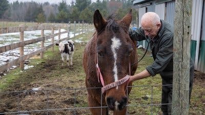 Assistir Clínica Animal com Dr. Pol Temporada 17 Episódio 10 Online em HD