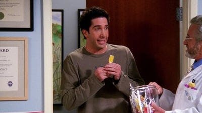 Assistir Friends Temporada 9 Episódio 3 Online em HD